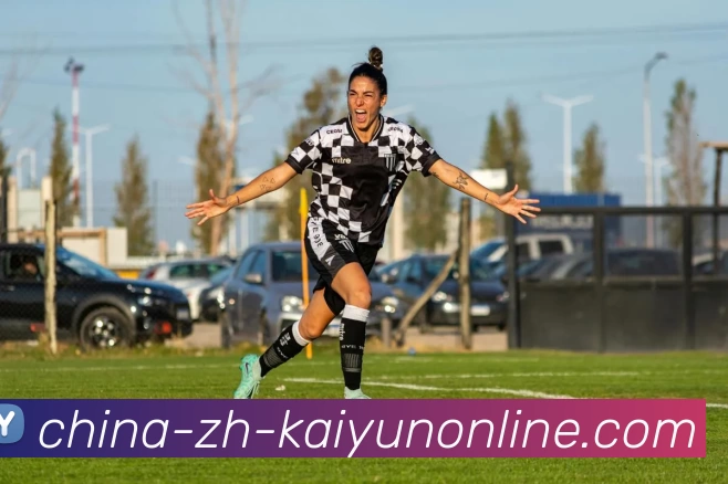 App Interface Preview