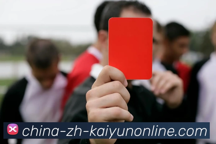 开云官网APP 封面图